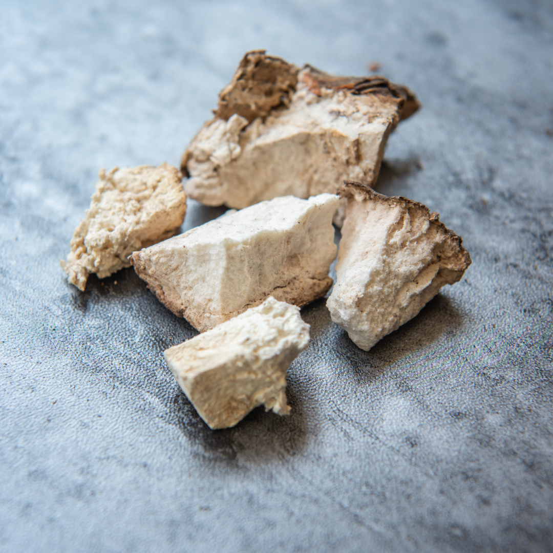 Poria Cocos: The Magical Mushroom That Nurtures Your Skin from Root to Radiance