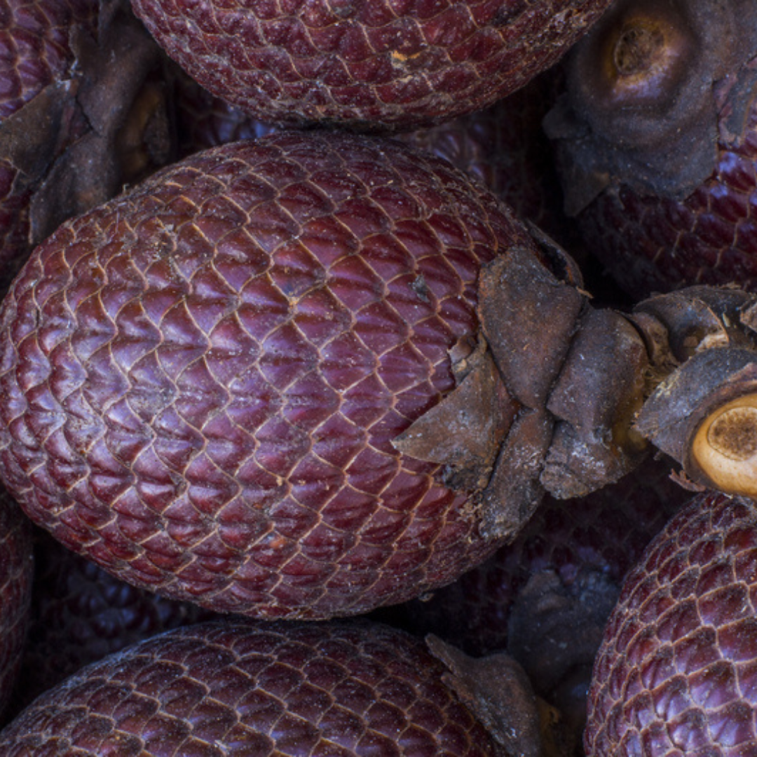 aos skincare photo of buriti fruit