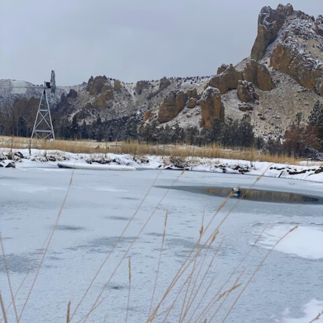winter on Angelina's farm
