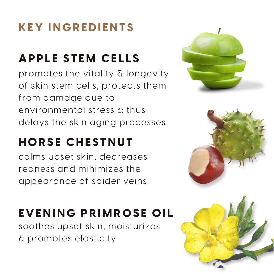 Apple Stem Cell Daily Radiance Cream spf 15