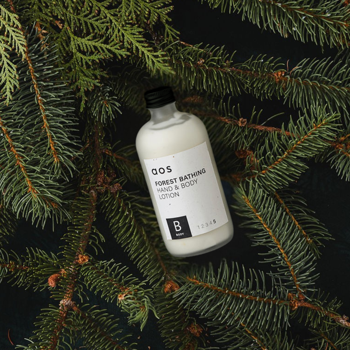 Forest Bathing Hand & Body Lotion