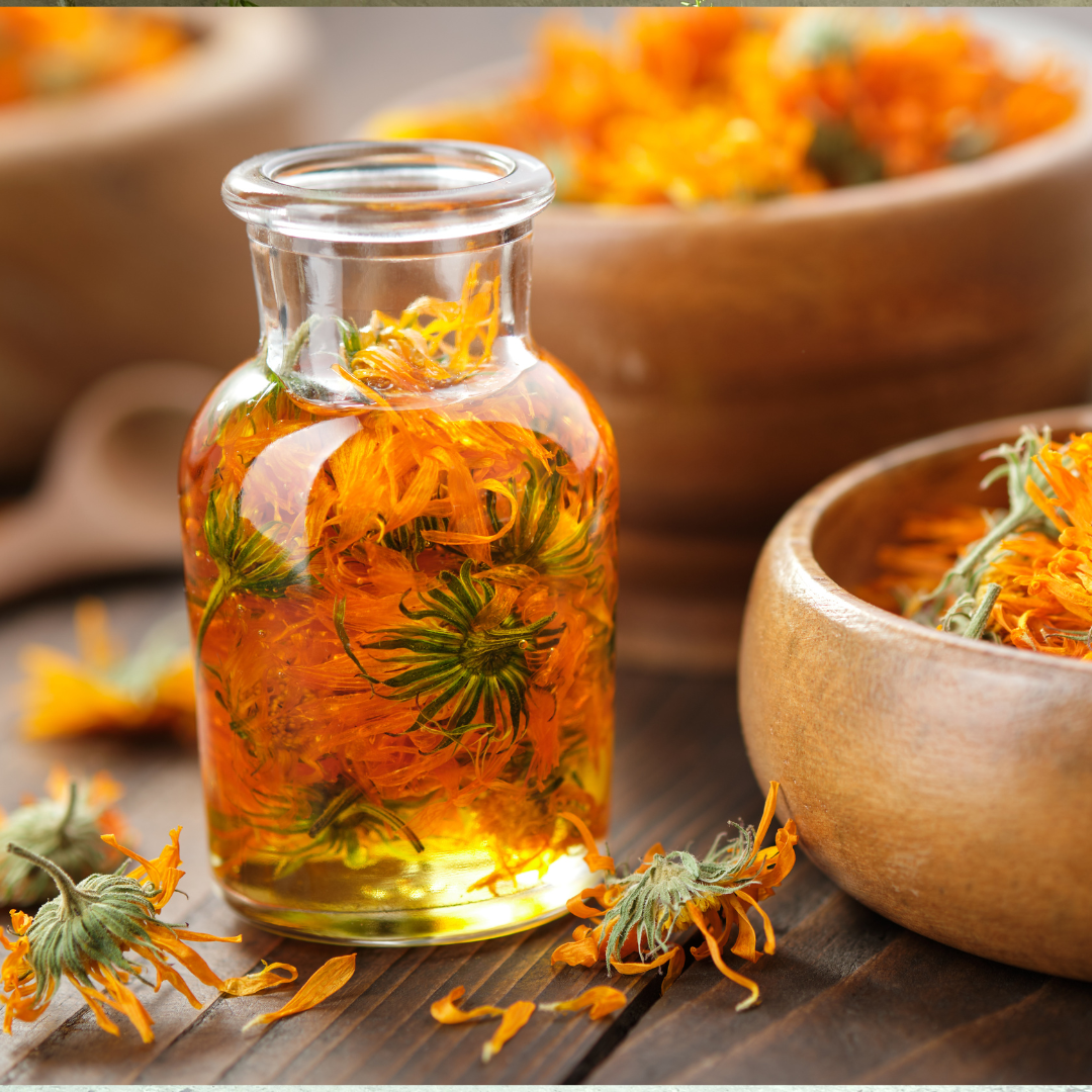 Why Calendula Shows Up in So Many AOS Formulas—and Why Your Skin Will Thank You