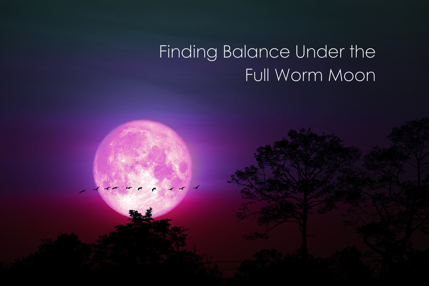 Finding Balance Under the Full Worm Moon