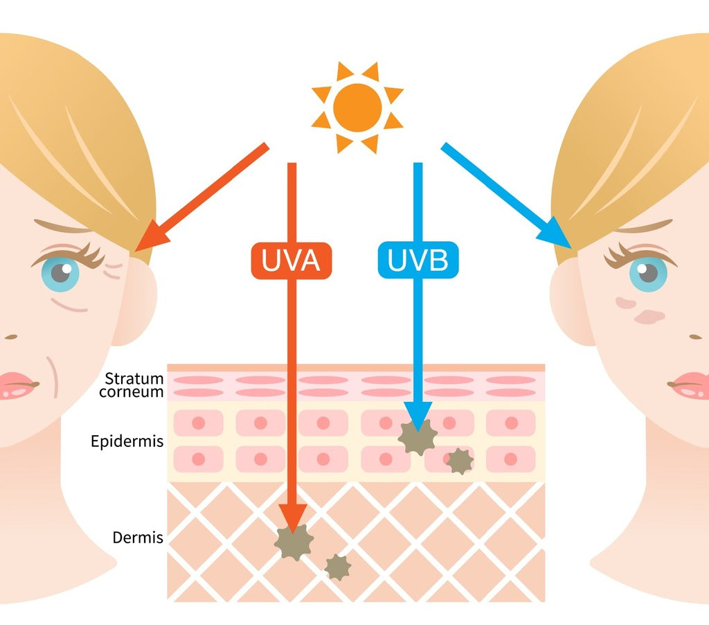 The Difference Between UVA and UVB Rays and Their Effect on Your Skin