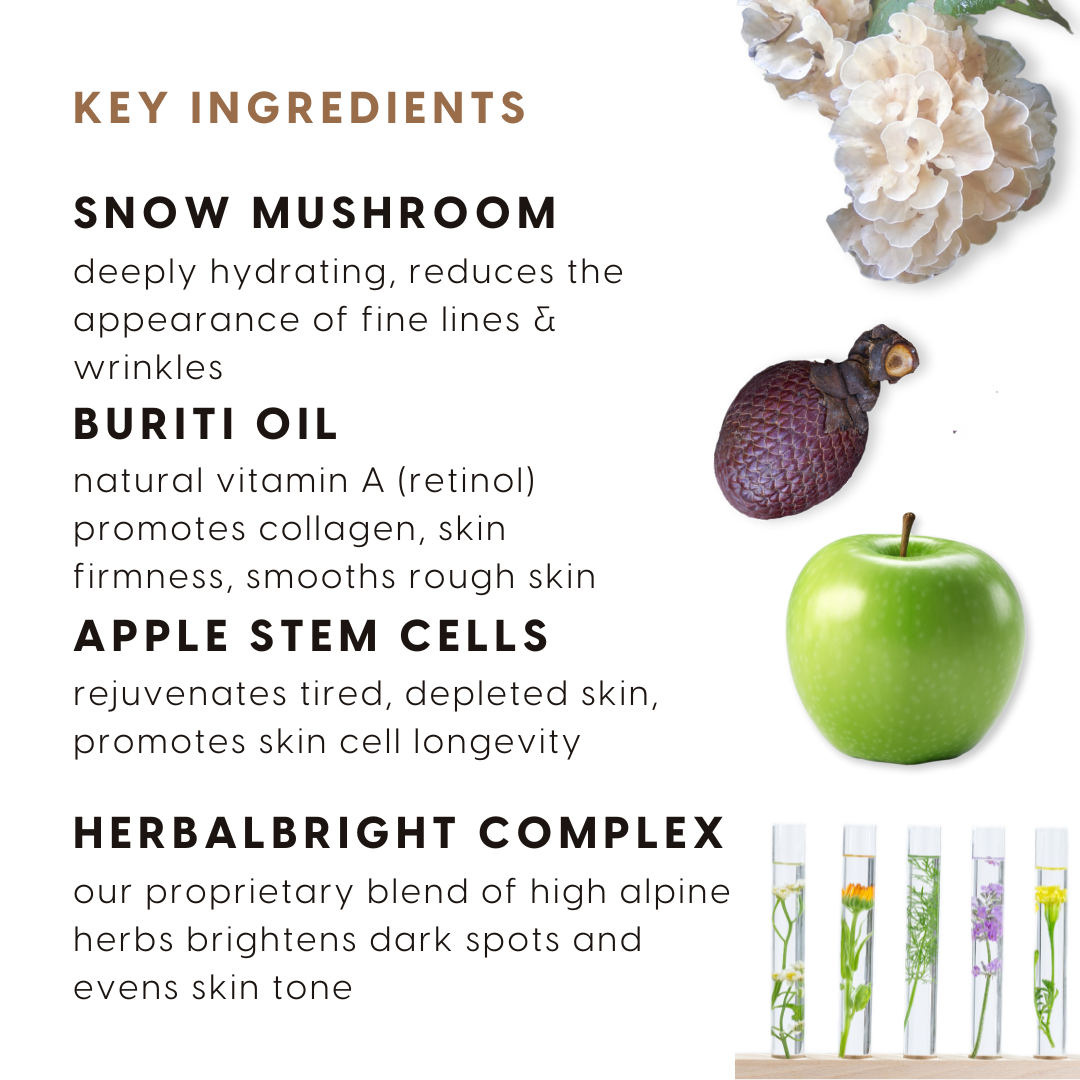 Beauty Sleep Snow Mushroom + C & A Overnight Brightening Mask