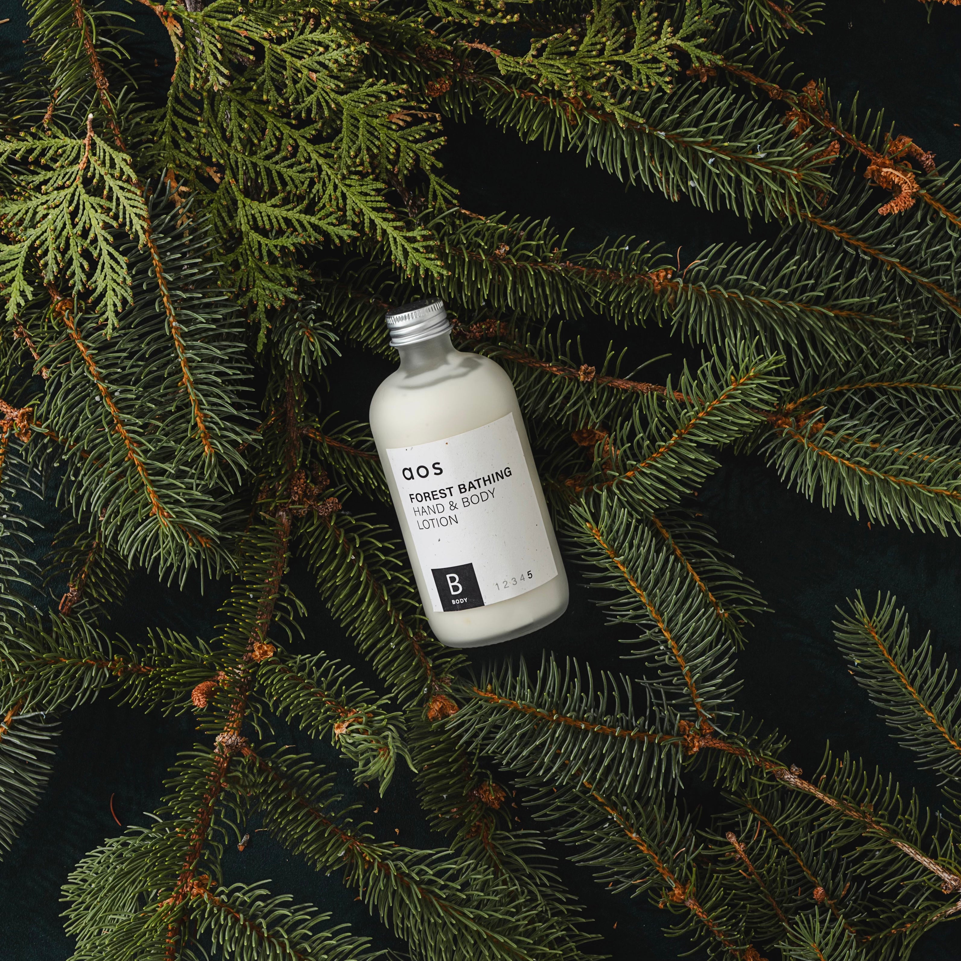 Forest Bathing Hand & Body Lotion