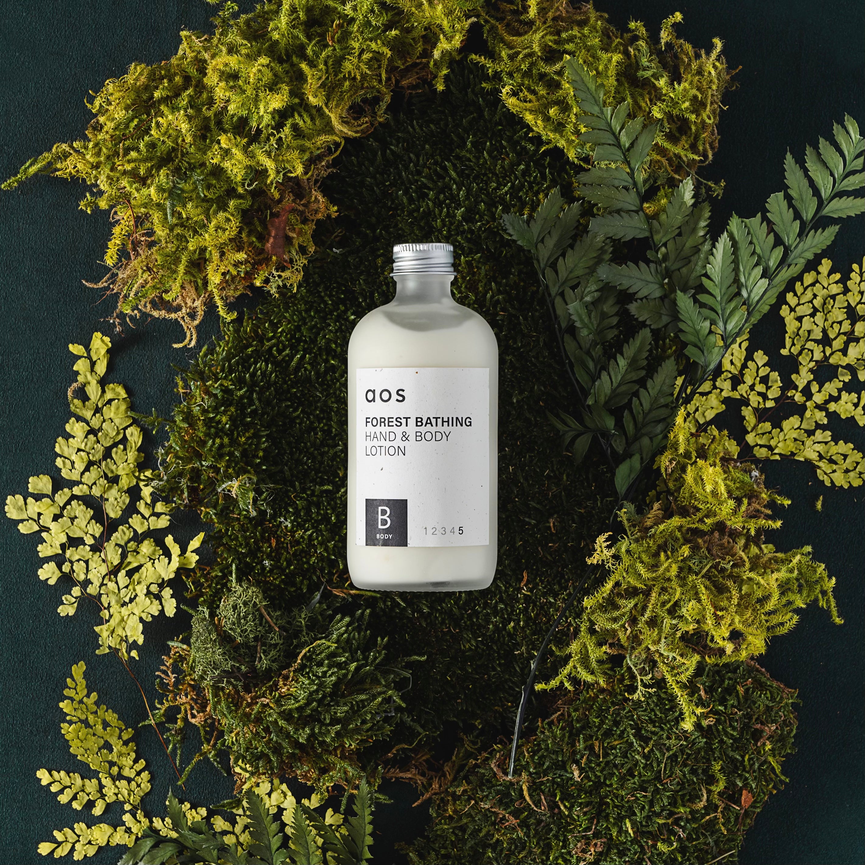 Forest Bathing Hand & Body Lotion